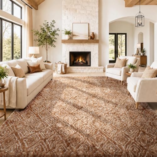 Ophanie Area Rugs for Living Room Bedroom, Washable Non-Slip Fluffy Soft Grey Shag Carpet, Indoor Floor Gray 4x6 Fuzzy Shaggy Living Room Plush Rug for Kids Home Dorm Decor Aesthetic|B0852WLH7M