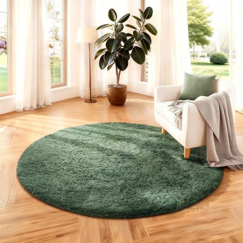 Ophanie Area Rugs for Living Room Bedroom, Washable Non-Slip Fluffy Soft Grey Shag Carpet, Indoor Floor Gray 4x6 Fuzzy Shaggy Living Room Plush Rug for Kids Home Dorm Decor Aesthetic|B0852WLH7M