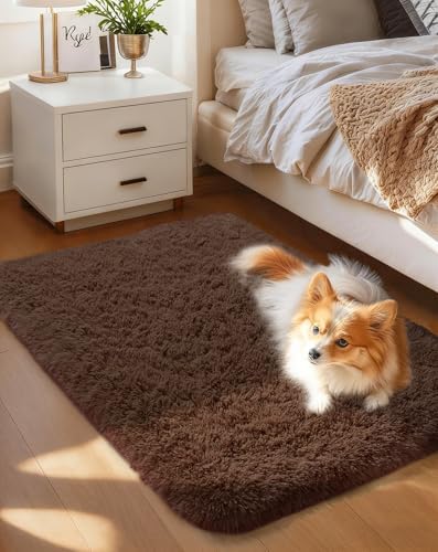 Ophanie Area Rugs for Living Room Bedroom, Washable Non-Slip Fluffy Soft Grey Shag Carpet, Indoor Floor Gray 4x6 Fuzzy Shaggy Living Room Plush Rug for Kids Home Dorm Decor Aesthetic|B0852WLH7M