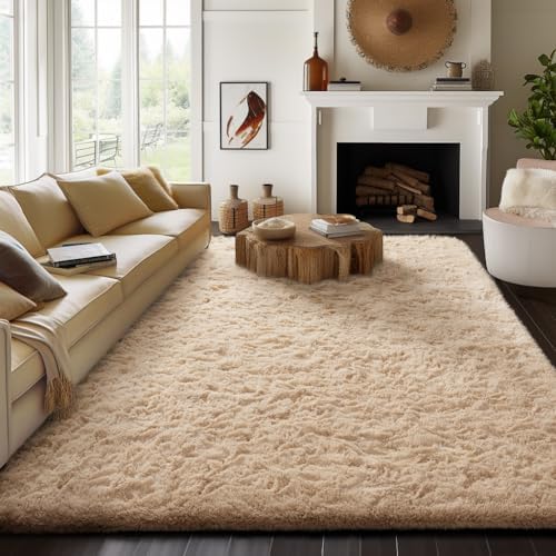 Ophanie Area Rugs for Living Room Bedroom, Washable Non-Slip Fluffy Soft Grey Shag Carpet, Indoor Floor Gray 4x6 Fuzzy Shaggy Living Room Plush Rug for Kids Home Dorm Decor Aesthetic|B0852WLH7M