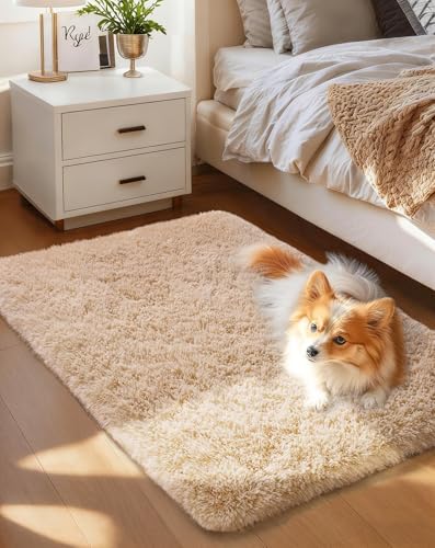 Ophanie Area Rugs for Living Room Bedroom, Washable Non-Slip Fluffy Soft Grey Shag Carpet, Indoor Floor Gray 4x6 Fuzzy Shaggy Living Room Plush Rug for Kids Home Dorm Decor Aesthetic|B0852WLH7M